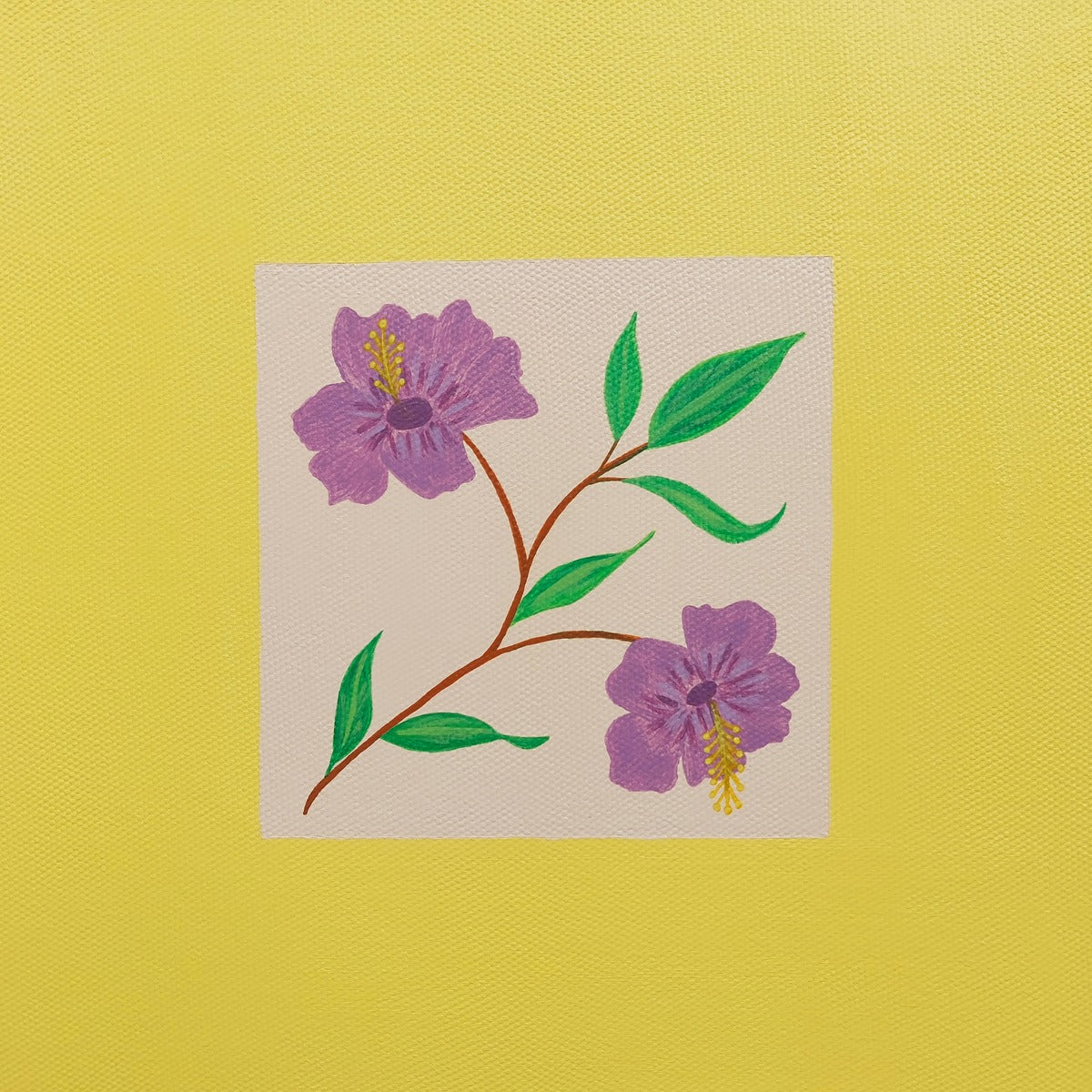 Hibiscus