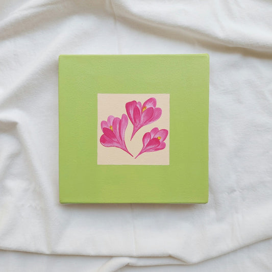 Crocus