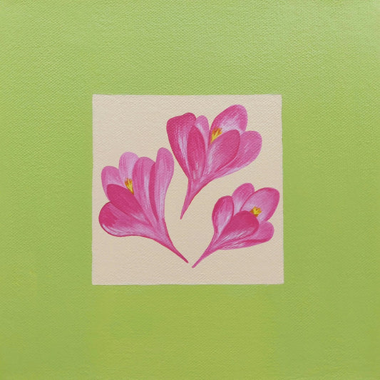 Crocus