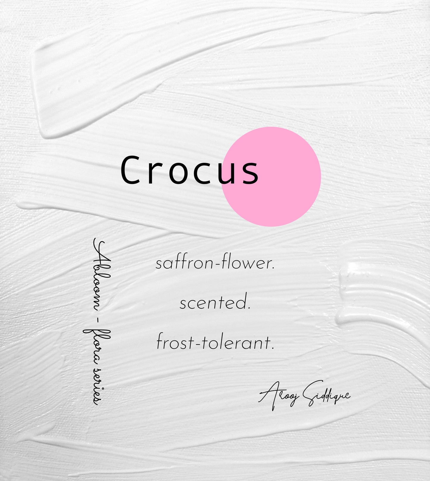 Crocus